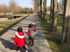 -前小桔亲子创意农场·草莓采摘·露营烧烤