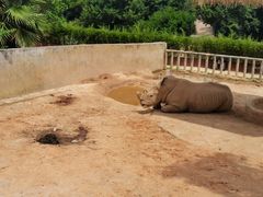 -泉州海丝野生动物世界