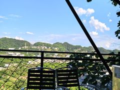 -巴倒烫陆派重庆火锅(南山店)