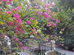 -一粥(华侨城创意文化园店)