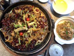 -老板恋上鱼(恒隆广场店)