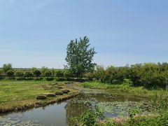 -池杉湖湿地公园