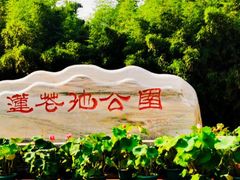 -莲花池公园