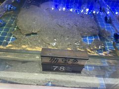 -大众海鲜(巨龙北路店)