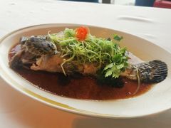 清蒸老虎斑-金轩中餐厅 Jin Xuan(浦东丽思卡尔顿酒店)