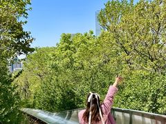 -富斯特索道