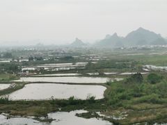 -会仙湿地