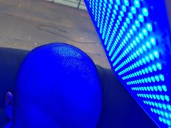 -碧莲盛·不剃发植发