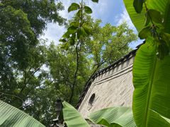 -齐汇维景大酒店游泳馆(山东政协大厦齐汇维景)