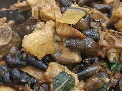 钉螺鸡煲-美锦源餐厅