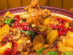-巴依老爷新疆美食(常营店)