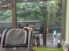 -瑞鹏宠物医院·夜间急症·心超·猫科(祖庙分店)