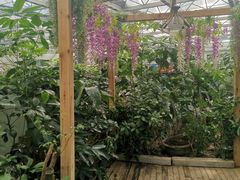 -天源吉布世温泉水乐园