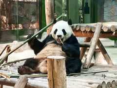-栾川竹海野生动物园