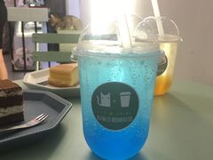 -有猫主题·治愈系猫咖(曾厝垵店)