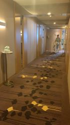 -爱陪伴尊享月子中心(国际店)