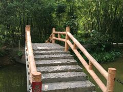 -大屏嶂森林公园