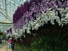 -石家庄市植物园