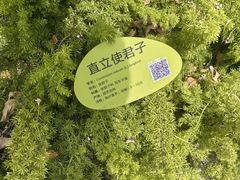 -云溪植物园