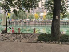 -成都市活水公园