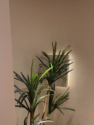 点击看大图 -栖SPA·ONDA ·海菲秀·皑皑科技美肤中心