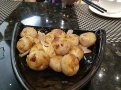 -新兴·金羊座·粤菜点心(乐峰店)
