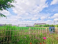 -菊园百果园
