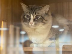 -白兔子密室(长寿路店)