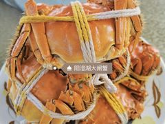 -水岸居湖景农家乐·阳澄湖大闸蟹