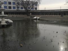 -东方巨龟苑景区