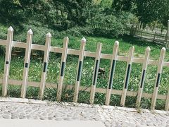 -宗角禄康公园
