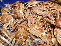 -开海·红岛海鲜虾水饺(石老人店)