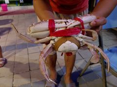 -龙湾海鲜渔村餐厅(亚龙湾店)
