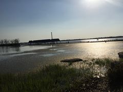 -滆湖低碳生态公园
