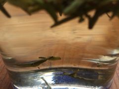 龙井茶-兴福老面馆(寺路街店)