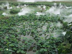 -龙环葡韵住宅式博物馆