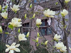 -大连植物园