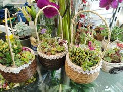 -FEI FEI FLOWER鲜花店·气球派对·宝宝宴布置(虹口德必运动Loft店)