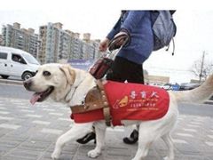 -万达影城(南宁印象城IMAX店)