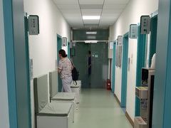 -北京观赏动物医院·24小时大型综合·猫专科·异宠专科