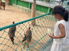-西霞口神雕山野生动物世界