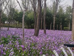 -郑州植物园