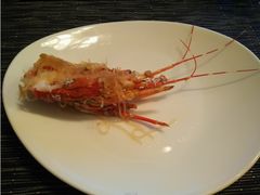 -长沙北辰洲际酒店-兰调全日餐厅