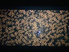 -龙之星国际影城(太平店)