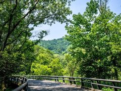 -西湖风景区-江洋畈生态公园