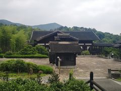 -大唐贡茶院