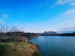 -昆山城市生态森林公园