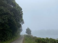 -海南热带雨林国家公园吊罗山景区