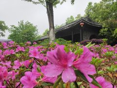-杏花村文化旅游区