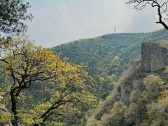 -北京鹫峰国家森林公园